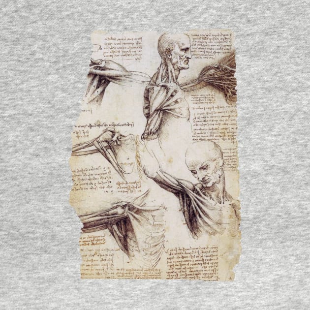 Leonardo Da Vinci Anatomical Drawings by Persona2